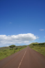 Roads of Rapa Nui, Easter Island, Chile