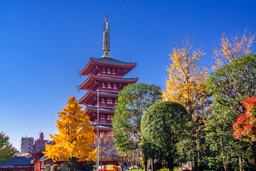 浅草寺