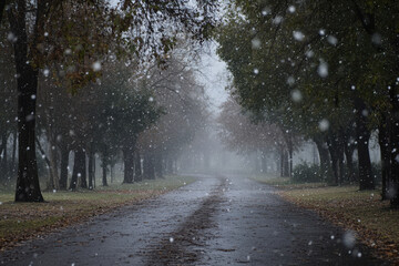 Fototapeta premium Thunderclouds Unleash a Sudden and Violent Hailstorm