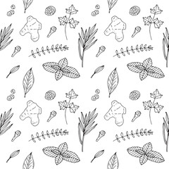 Spices and herbs seamless sketch pattern, hand drawing, vector illustration