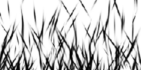 Black and white halftone background. Abstract illustration of round particles. The dots form shapeless images. Vector graphics.