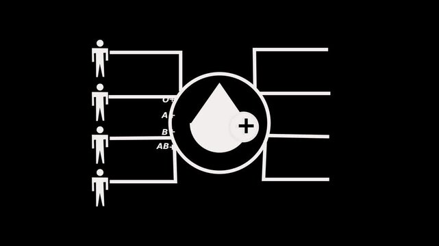 4k animation of blood donation with all possible blood group combinations