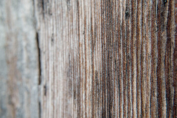 Old grey wood board close up view, aged, damage lines texture panel, macro 