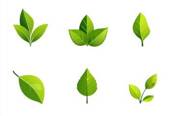 A Collection Of Six Green Leaves Various Shapes And Sizes