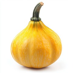 pumpkin isolated on white background