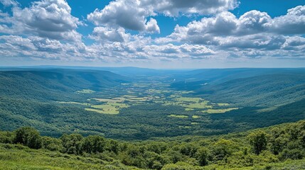 Obraz premium Expansive Green Valley Under Blue Sky With Fluffy Clouds