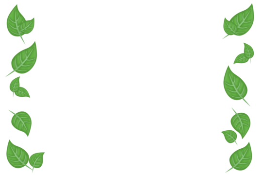 左右に先が尖った丸い卵型の葉っぱが縦に並ぶフレーム