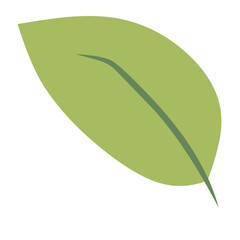green leaf vector