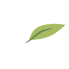 Green Leaf