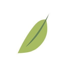 Green Leaf 