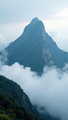 Alishan mountain peak shrouded in misty clouds, alishan, hongshang
