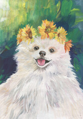 Drawing of a white Pomeranian Spitz with a wreath of yellow flowers on his head on a background of green grass