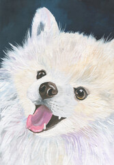 Adorable White Puppy Drawing of a smiling white Pomeranian Spitz on a dark blue background