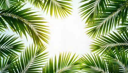 Obraz premium Lush palm leaves framing bright sky in tropical garden, natural beauty