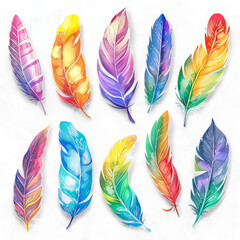 set of colorful feathers