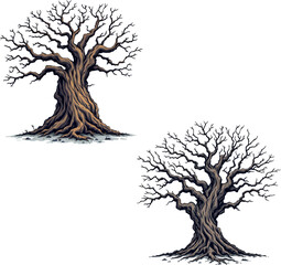 Two large bare trees standing on ground, showing their trunk and branches