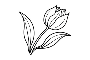 vector illustration of a flower