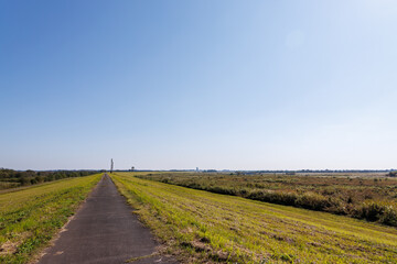 美しく広大なヨシ原
栃木県栃木市渡良瀬遊水地-2024
