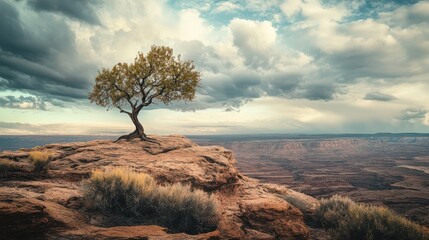 Fototapeta premium Solitary Tree on a Rocky Clifftop, Majestic Canyon Landscape Under Dramatic Clouds
