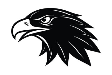 Eagle Head Illustration Vector Design