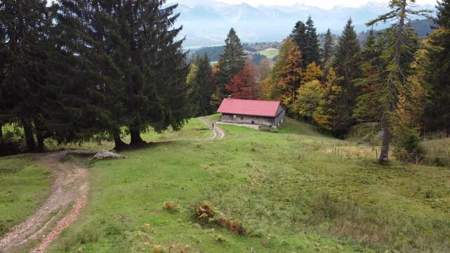 Small shed out of wood standing in front of large trees in Bavaria, Germany