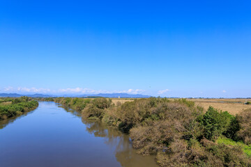 美しく広大なヨシ原
栃木県栃木市渡良瀬遊水地-2024
