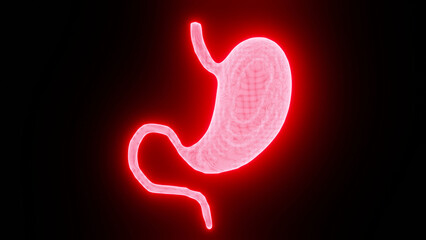 Futuristic 3D Digital Illustration of a Human Stomach with Glowing Red Neon Effect on a Dark Background