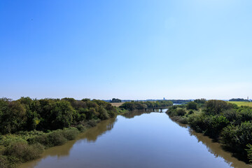 美しく広大なヨシ原
栃木県栃木市渡良瀬遊水地-2024
