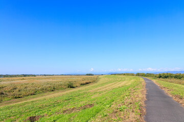 美しく広大なヨシ原
栃木県栃木市渡良瀬遊水地-2024
