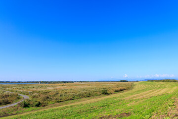 Obraz premium 美しく広大なヨシ原 栃木県栃木市渡良瀬遊水地-2024 