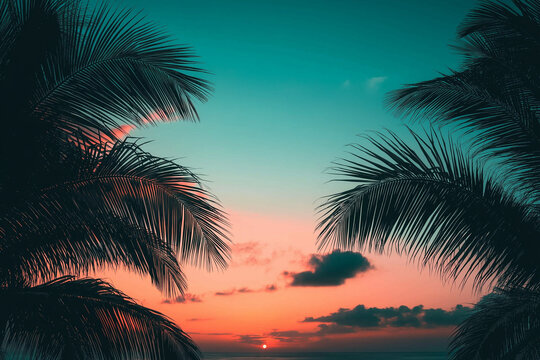 Stunning panoramic tropical sunset with silhouetted palm trees against vibrant sky over serene ocean horizon - Powered by Adobe