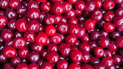 pile of ripe cherries prepared for preservation