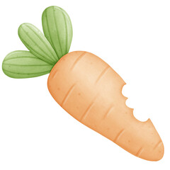 watercolor painting of a carrot
