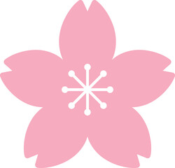 桜の花　シンプル　単体