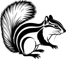 Squirrel silhoutte vector illustration