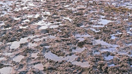 Spring Thaw Muddy Ground Difficult to Pass for Vehicle