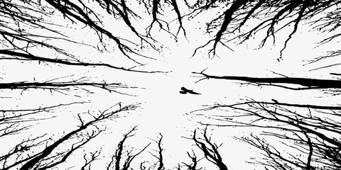 Tree without leaves On a white background