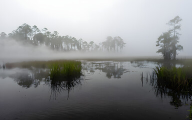Fototapeta premium Swamp with mist rising over the water