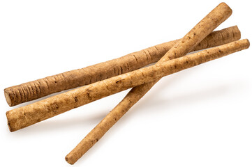 Gobo Root or Burdock Root an Asian culinary herb on white background, Burdock root for Japanese cooking isolate on white PNG File