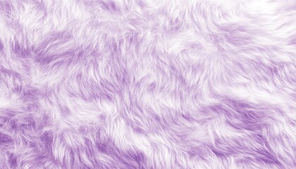 Fototapeta premium Lavender White Fur Texture Background Image