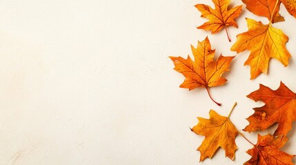 Fototapeta premium Colorful autumn leaves on a light background.