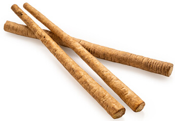 Gobo Root or Burdock Root an Asian culinary herb on white background, Burdock root for Japanese cooking isolate on white PNG File