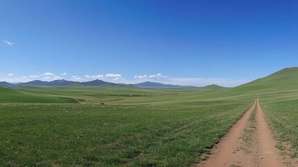 Expansive view of a wide open field with green wheat and grass, dirt road, and an isolated tree under the blue sky, capturing tranquility and harmony.