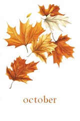 October illustration with falling autumn maple leaves