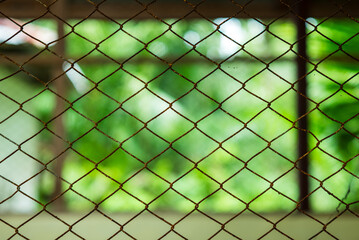 Fototapeta premium Green house wire fence texture