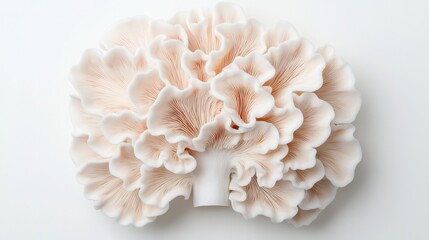 Beautiful and delicate pink mushroom resembling a blooming flower, showcasing intricate details and a smooth texture, perfect for nature lovers.