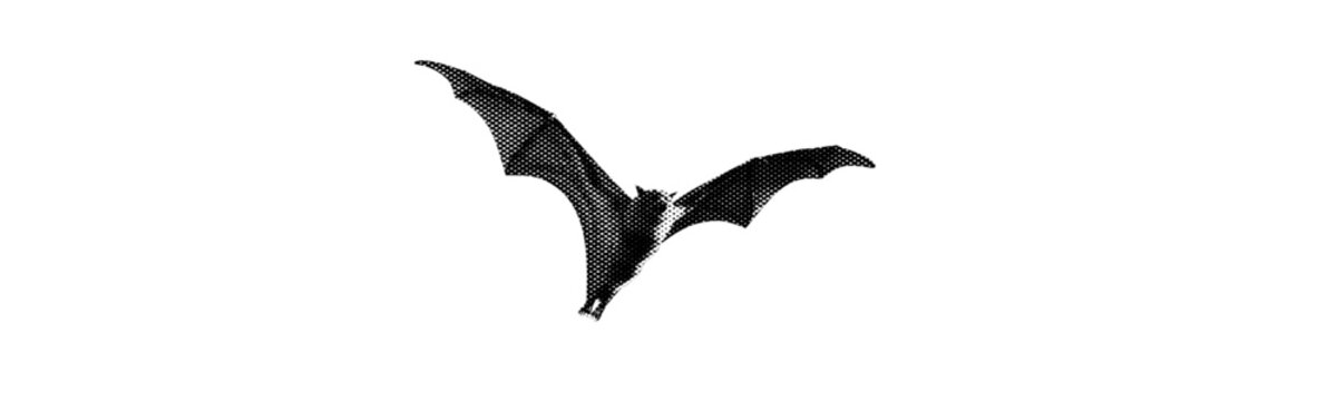 bat in flight isolated halftone on white background 