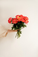 Female hand holding red peonies flowers bouquet over white background. Minimal creative floral concept