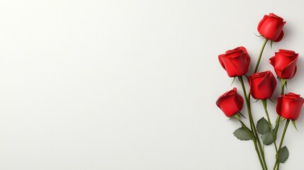 Obraz premium Red roses on a clean, white background.