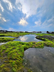 landscape with river and sky